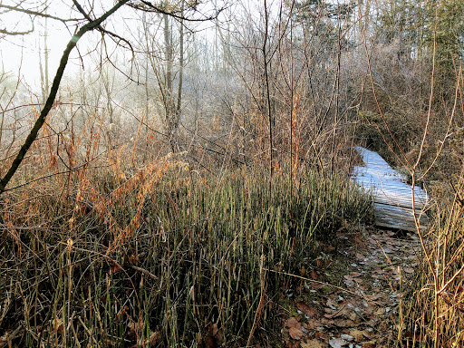 Day Care Center «Fuller Hill Child Care Center», reviews and photos, 5251 McAuley Dr, Ypsilanti, MI 48197, USA