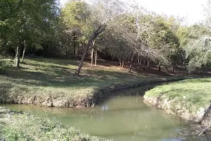 Armand Bayou Hike & Bike Trails - Fairmont Parkway Trail Head image