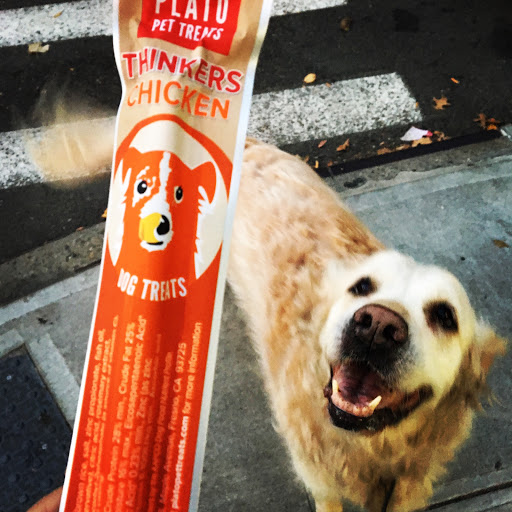 Pet Supply Store «I Love My Pet Food and Supplies», reviews and photos, 899 Nostrand Ave, Brooklyn, NY 11225, USA