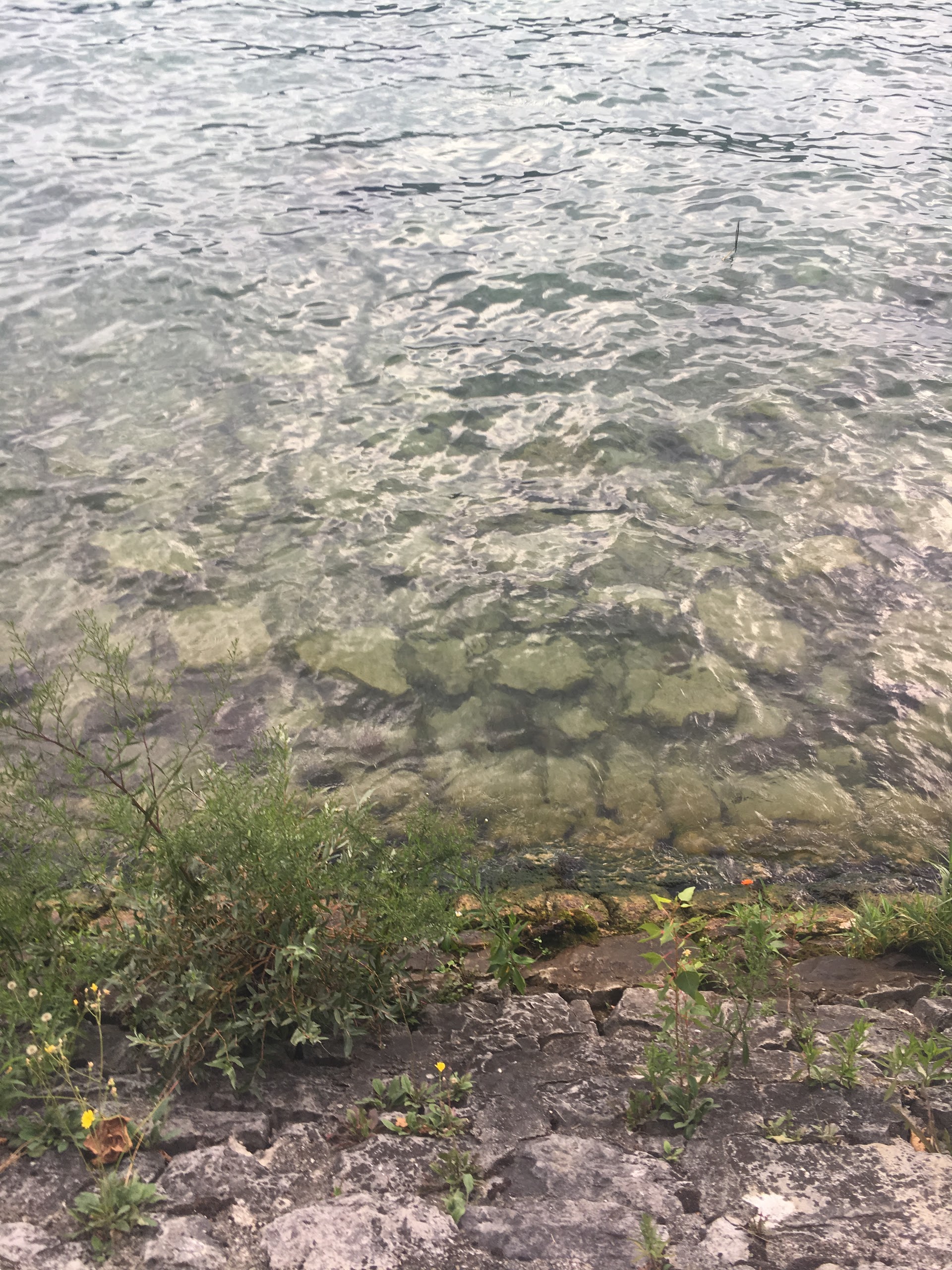 Photo n° 1 de l'avis de alicia. fait le 22/08/2017 à 21:09