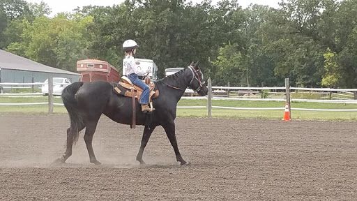 Tack Shop «3 Gems Tack & Stables», reviews and photos, 1175 85th Ave NW, Moorhead, MN 56560, USA