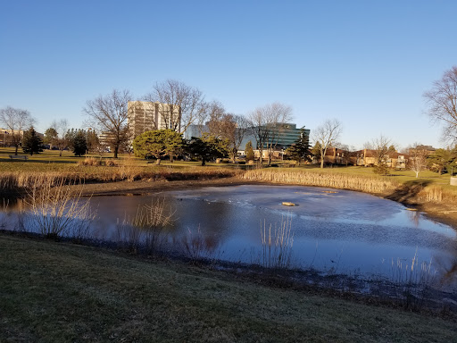 Golf Course «Somerset Park Golf Course», reviews and photos, 2401 Golfview Dr, Troy, MI 48084, USA