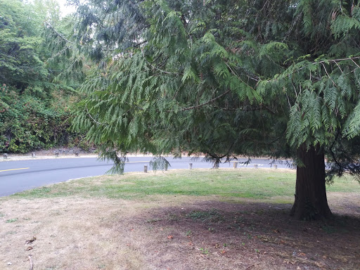 Park «Colman Park», reviews and photos, 1800 Lake Washington Blvd S, Seattle, WA 98144, USA