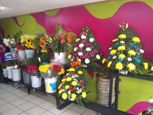 Floreria Anahy – Agua Prieta