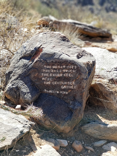 Nature Preserve «Gateway Trailhead - McDowell Sonoran Preserve», reviews and photos, 18333 N Thompson Peak Pkwy, Scottsdale, AZ 85255, USA