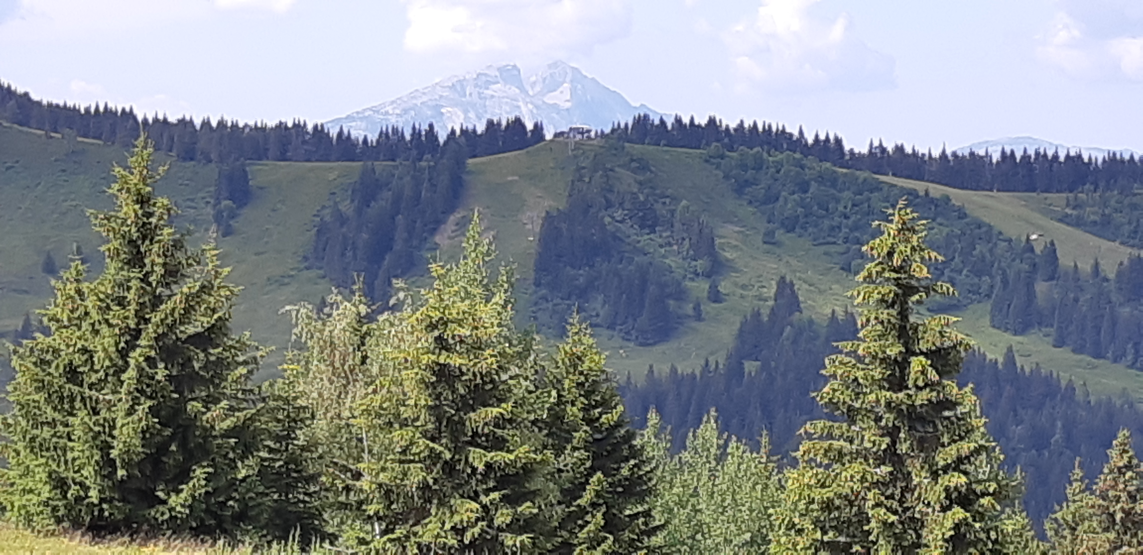 Photo n° 22 de l'avis de Joelle.e fait le 20/07/2018 à 19:26