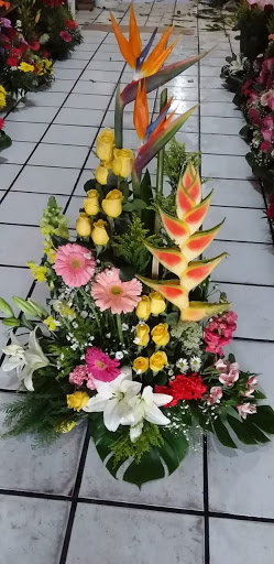 OCCASION Tienda de flores