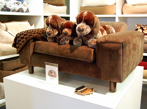 Pet Store «Muttropolis La Jolla», reviews and photos, 7755 Girard Ave, La Jolla, CA 92037, USA