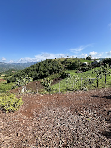 Doner House 2025 Ανοιχτές ώρες