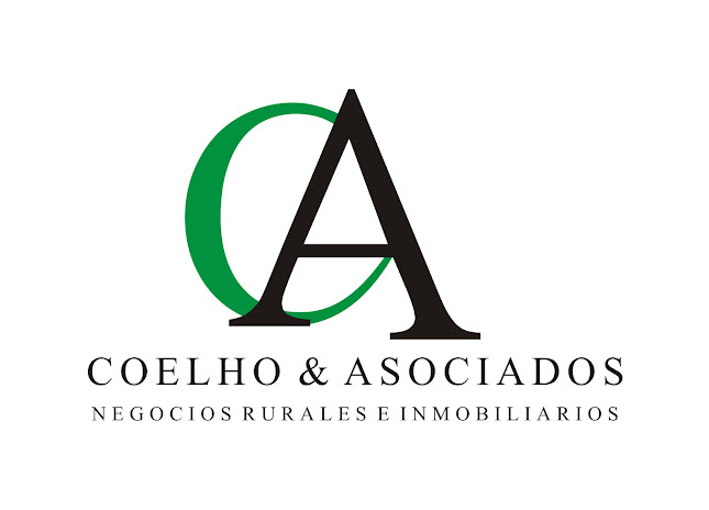Opiniones de Coelho y Asociados en Tacuarembó - Diseñador de sitios Web