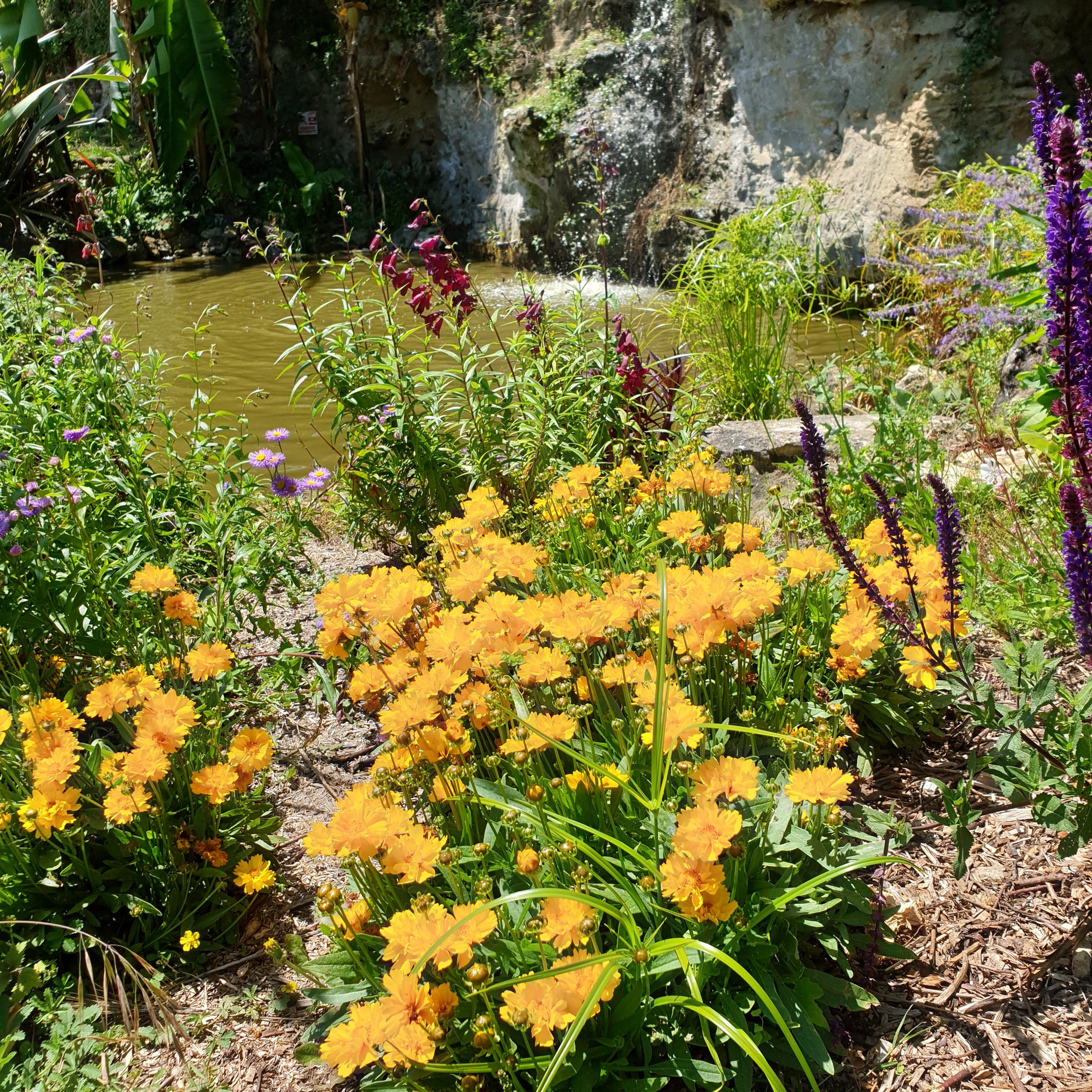 Photo n° 4 de l'avis de Alexandra.o fait le 14/05/2019 à 19:55