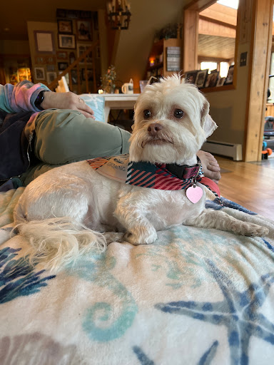 Pet Supply Store «PetSmart», reviews and photos, 1125 Hover St, Longmont, CO 80501, USA