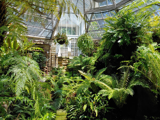 Fernery