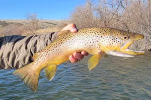 Wyoming Anglers image