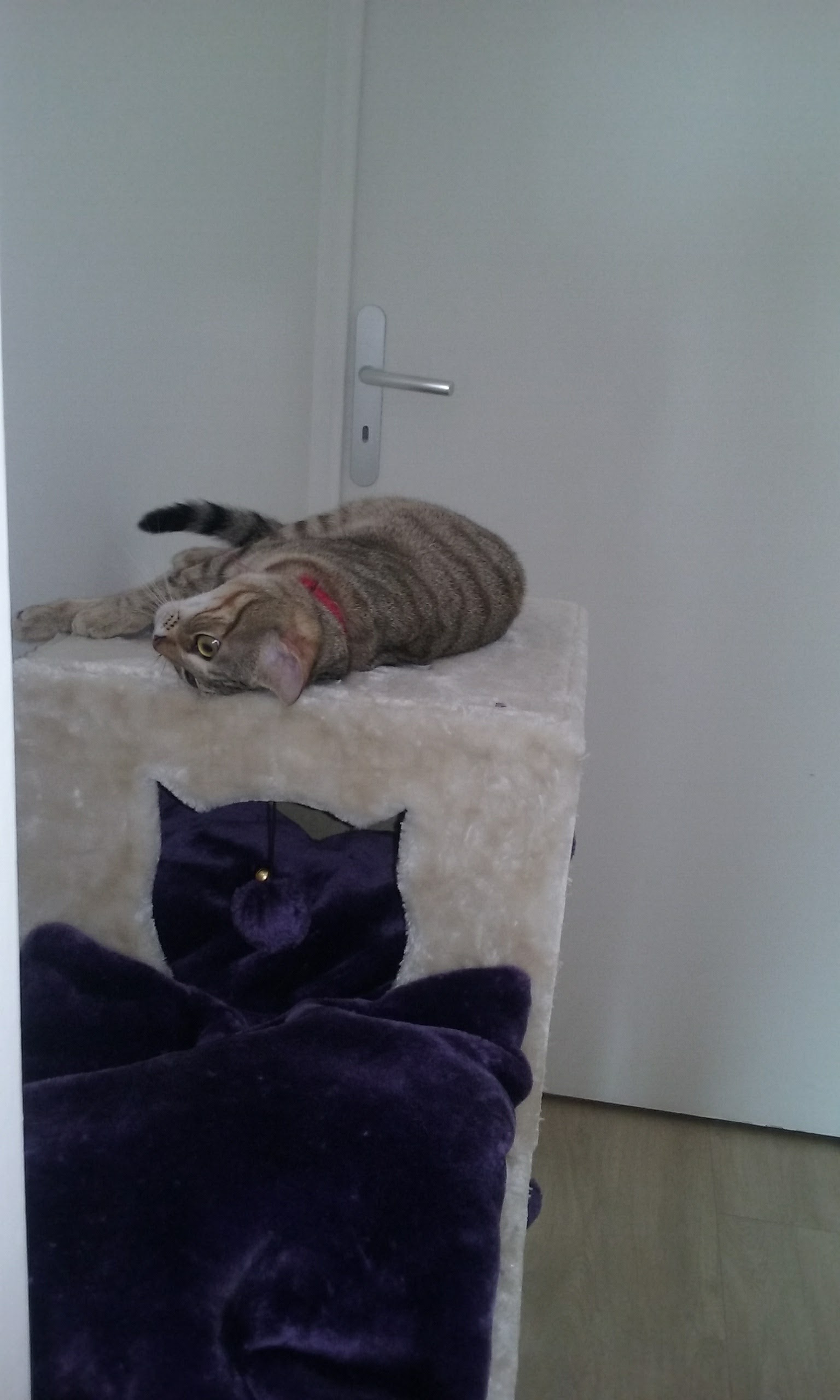 Photo n° 2 de l'avis de ABBY.A fait le 09/02/2017 à 14:44