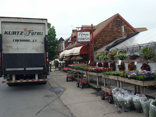 Florist «Currans Flowers», reviews and photos, 15 Park St, Danvers, MA 01923, USA