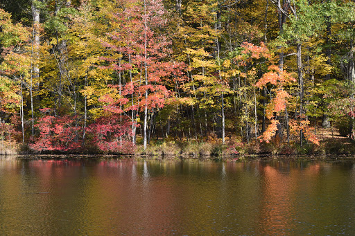 Pet Store «Abrams and Weakley General Store for Animals», reviews and photos, 3963 N 6th St, Harrisburg, PA 17110, USA