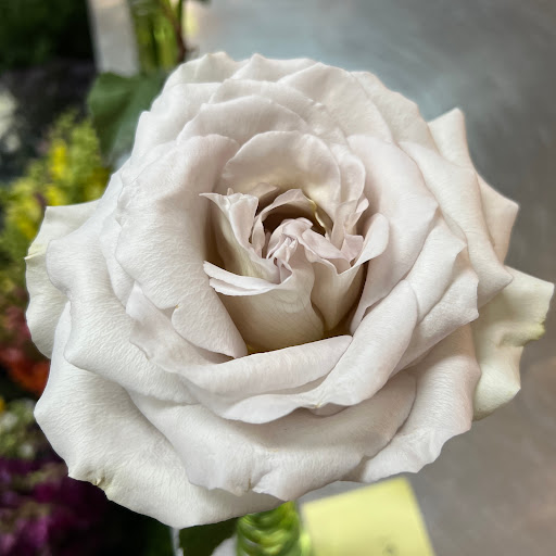 Florist «J. Morris Flowers», reviews and photos, 1603 Village Market Blvd SE #108, Leesburg, VA 20175, USA