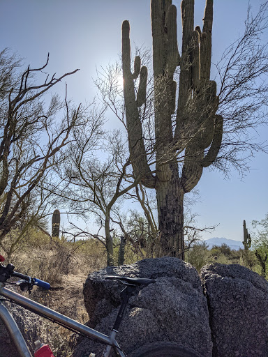 Bicycle Store «Landis Cyclery», reviews and photos, 2180 E Southern Ave, Tempe, AZ 85282, USA