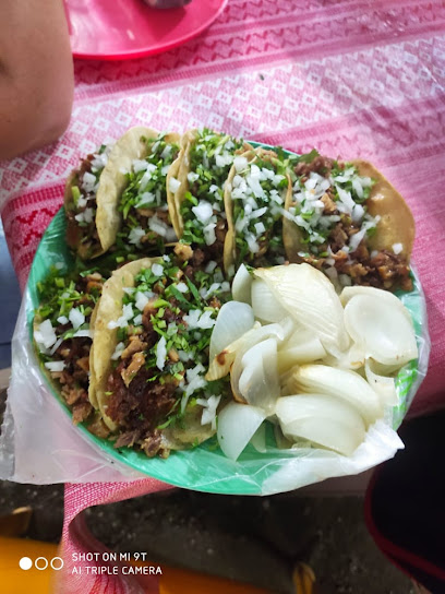 Tacos el guero de don guyo - 51598 El Temblor, State of Mexico, Mexico
