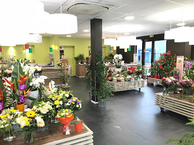 Carrément Fleurs - Fleuriste Montauban Albasud 82 - Livraison de fleurs à à Montauban