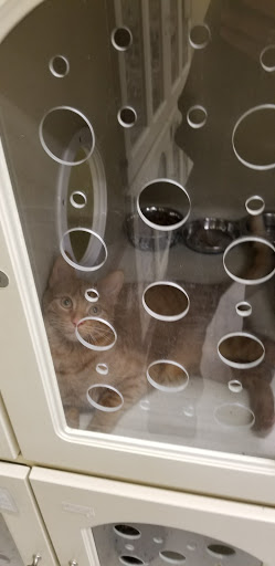 Pet Supply Store «Petco Animal Supplies», reviews and photos, 1018 Mt Prospect Plaza, Mt Prospect, IL 60056, USA