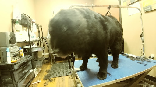 Pet Store «Pet Valu», reviews and photos, 2645 Shillington Rd, Sinking Spring, PA 19608, USA