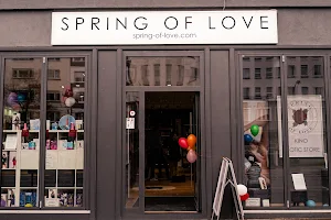 Spring of Love - Erotic Store und Kino image