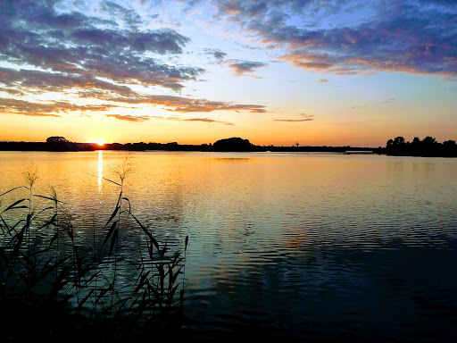 Viola Dahm unter Nordwestuckermark, Brandenburg