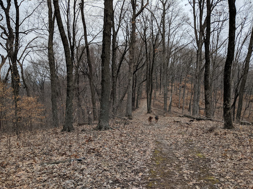 Hart Creek Conservation Area