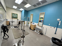 Petco - Photo 2 - Car repair in Brooklyn, NY, New York