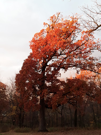 Nature Preserve «Lakeside Nature Center», reviews and photos, 4701 E Gregory Blvd, Kansas City, MO 64132, USA