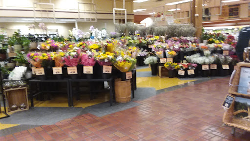Supermarket «Wegmans», reviews and photos, 4256 James St, East Syracuse, NY 13057, USA