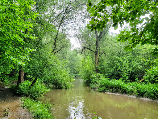 Nature Reserve 