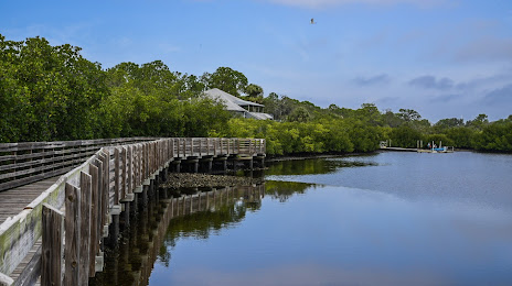 Massage Therapy Services in Town 'N' Country, FL