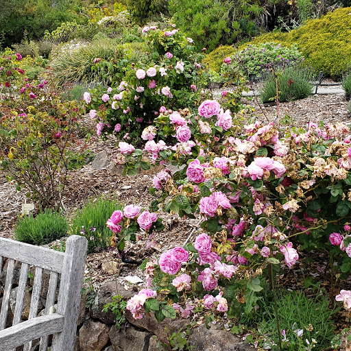 University of California Botanical Garden