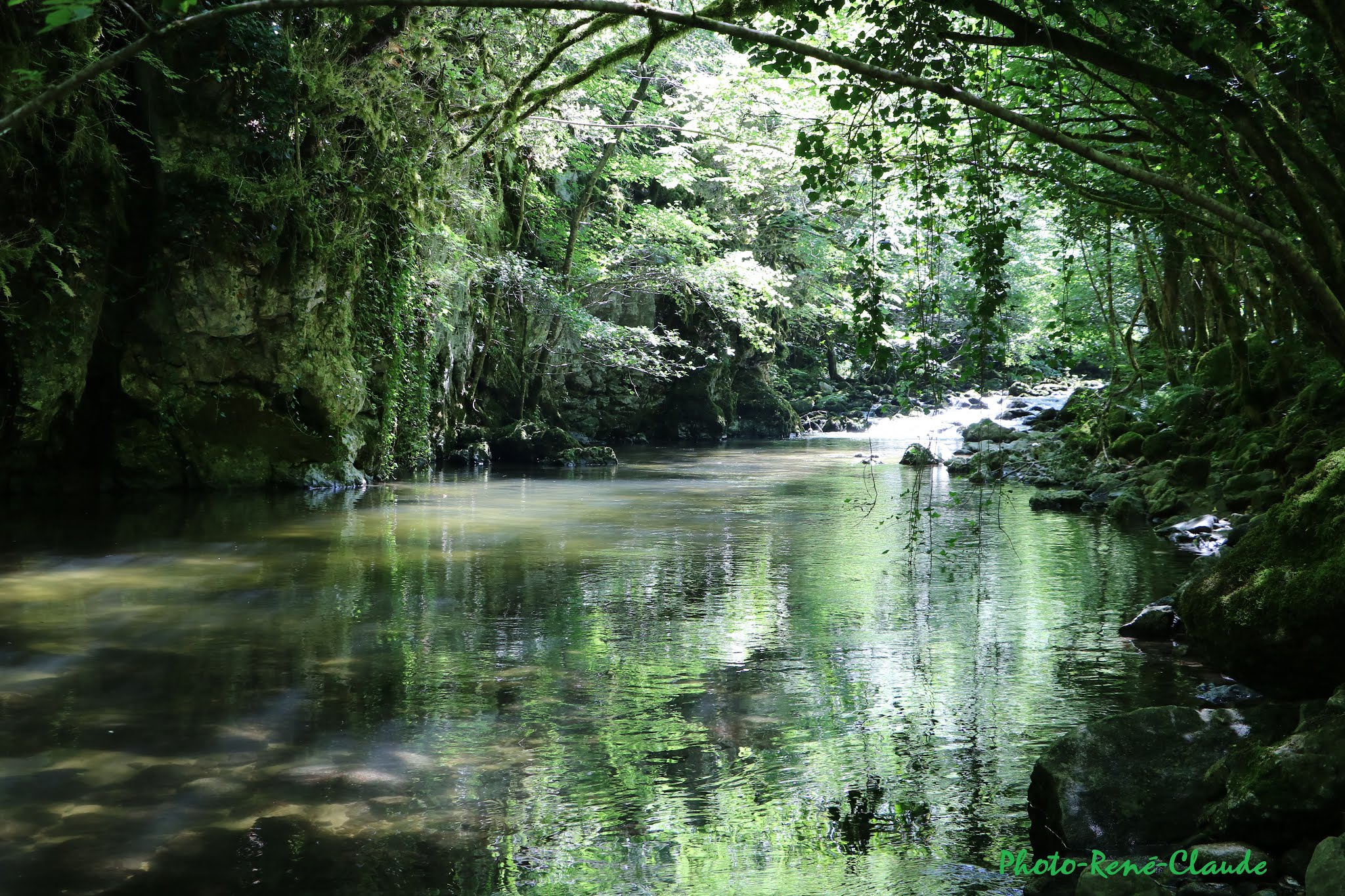 Photo n° 3 de l'avis de rené.a fait le 20/07/2019 à 17:42
