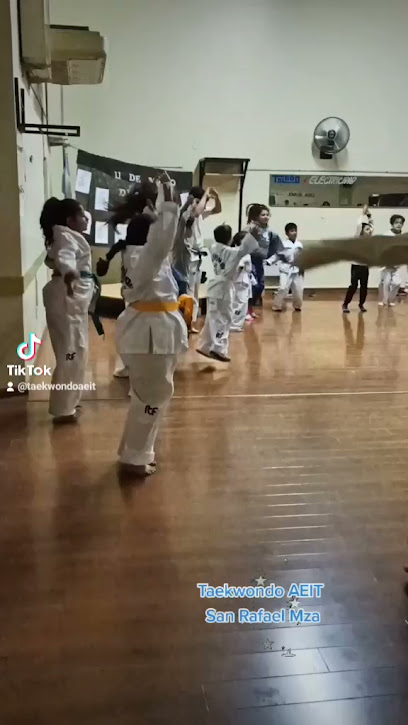 Taekwondo AEIT Federación