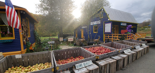 Gift Shop «Beech Spring Gift Shop», reviews and photos, 11600 Lee Hwy, Sperryville, VA 22740, USA