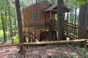Cabins at Pine Haven image