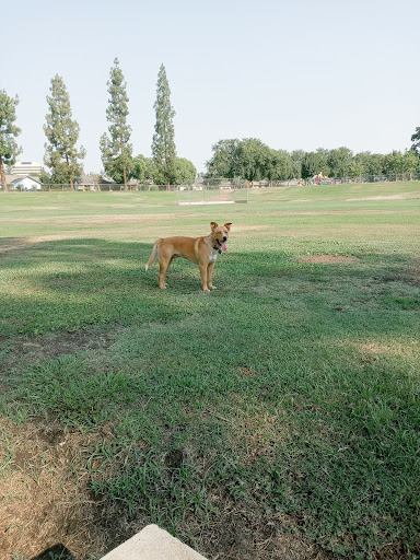 Centennial Dog Park