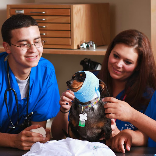 College «Bel-Rea Institute of Animal Technology», reviews and photos