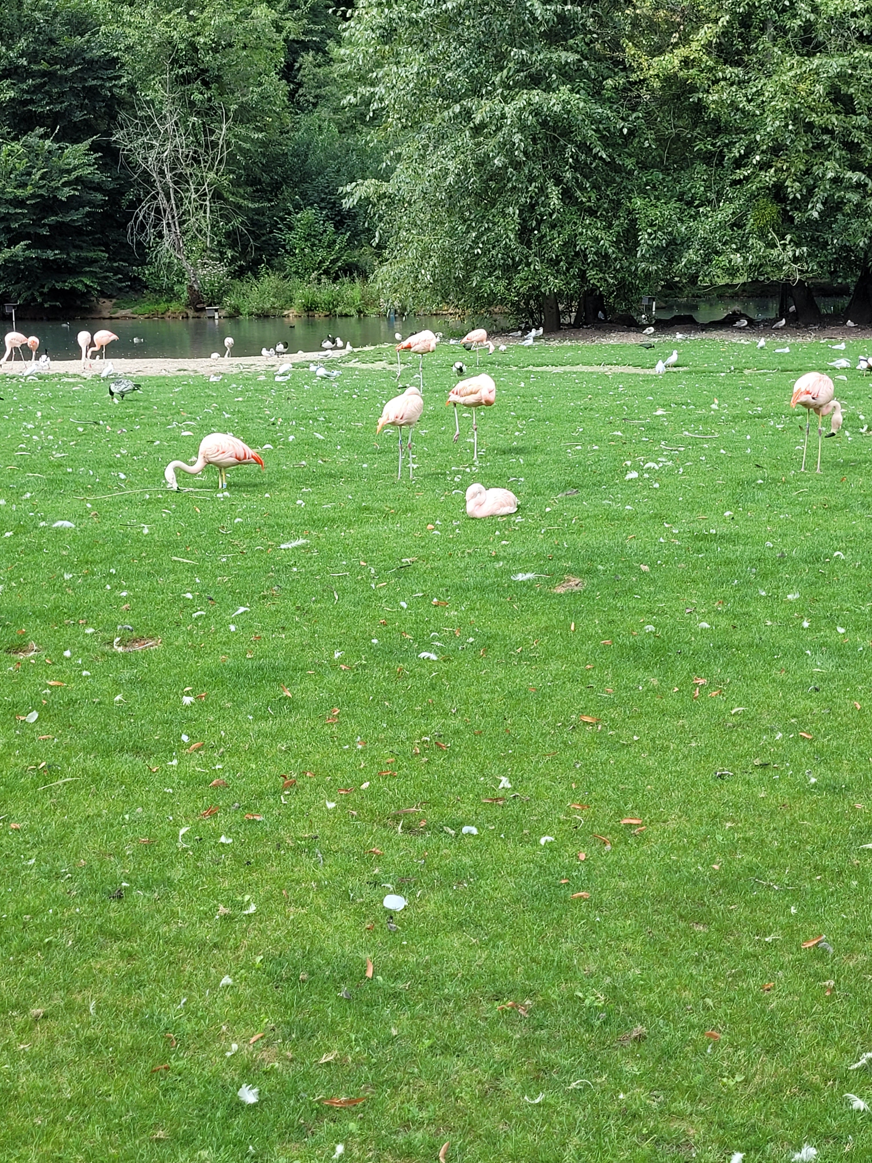 Photo n° 3 de l'avis de Jeremie.i fait le 20/08/2023 à 12:47