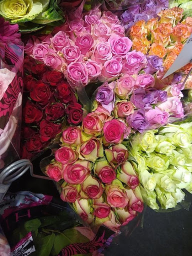 Grocery Store «Whole Foods Market», reviews and photos, 413 Centre St, Jamaica Plain, MA 02130, USA