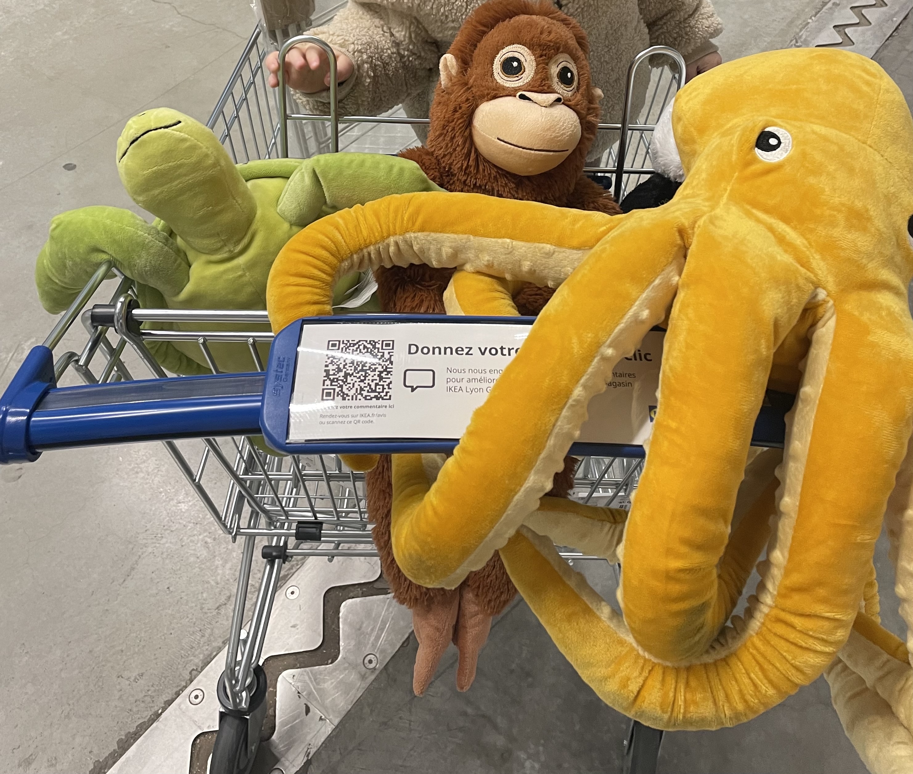 Photo n° 1 de l'avis de VALERIE. fait le 23/04/2023 à 04:50