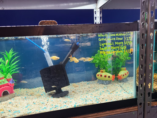 Pet Store «All About Pets LLC», reviews and photos, 52567 Columbia River Hwy, Scappoose, OR 97056, USA