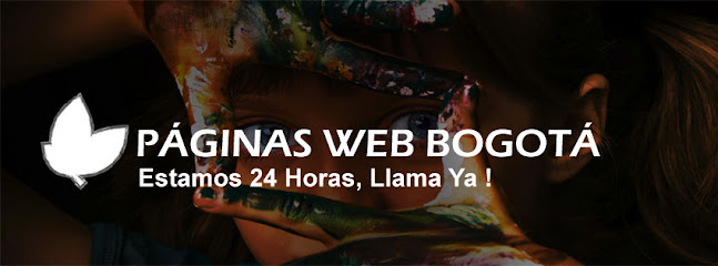 Diseñador web Colombia