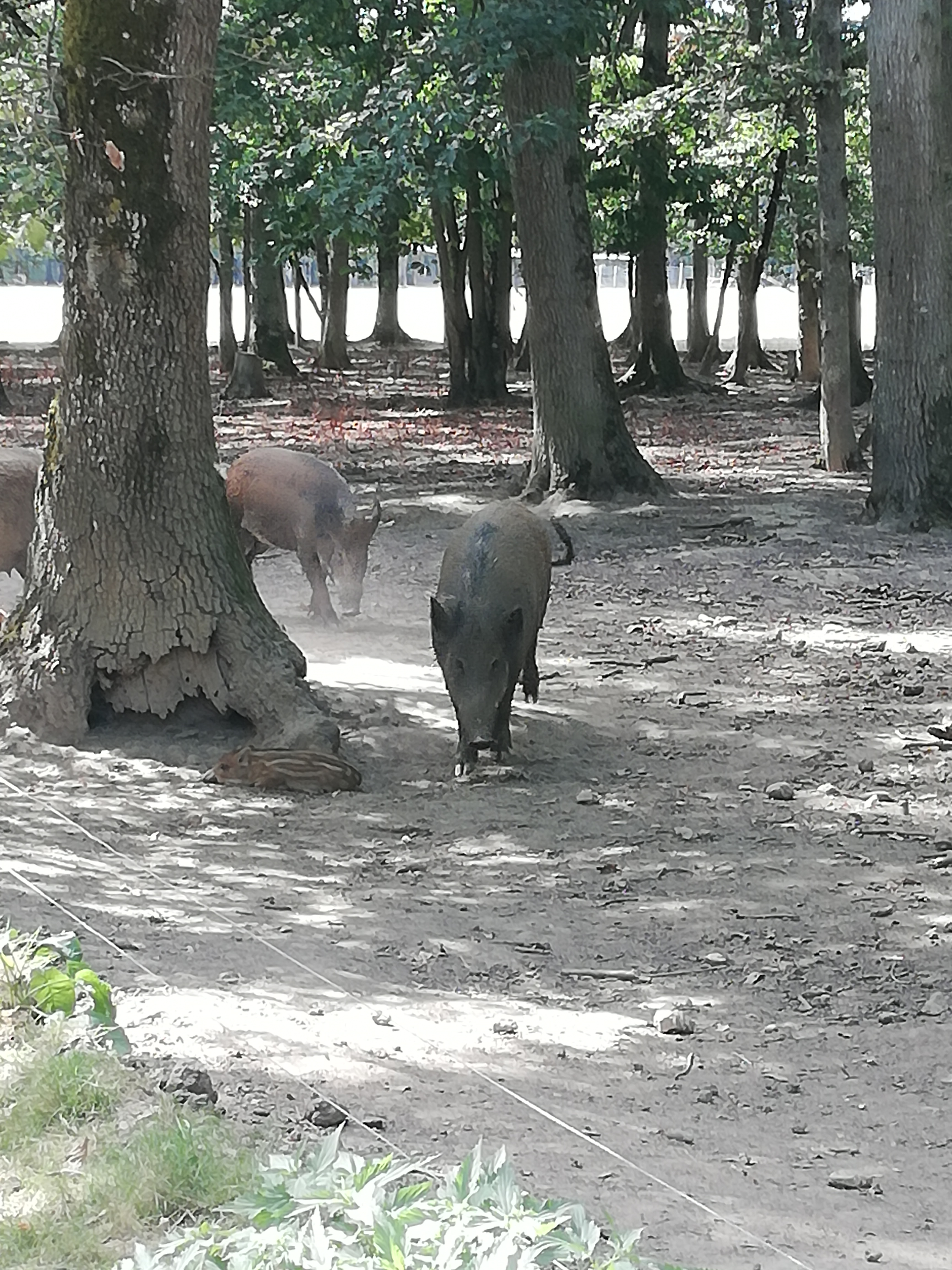 Photo n° 5 de l'avis de Severine.e fait le 23/08/2019 à 23:18