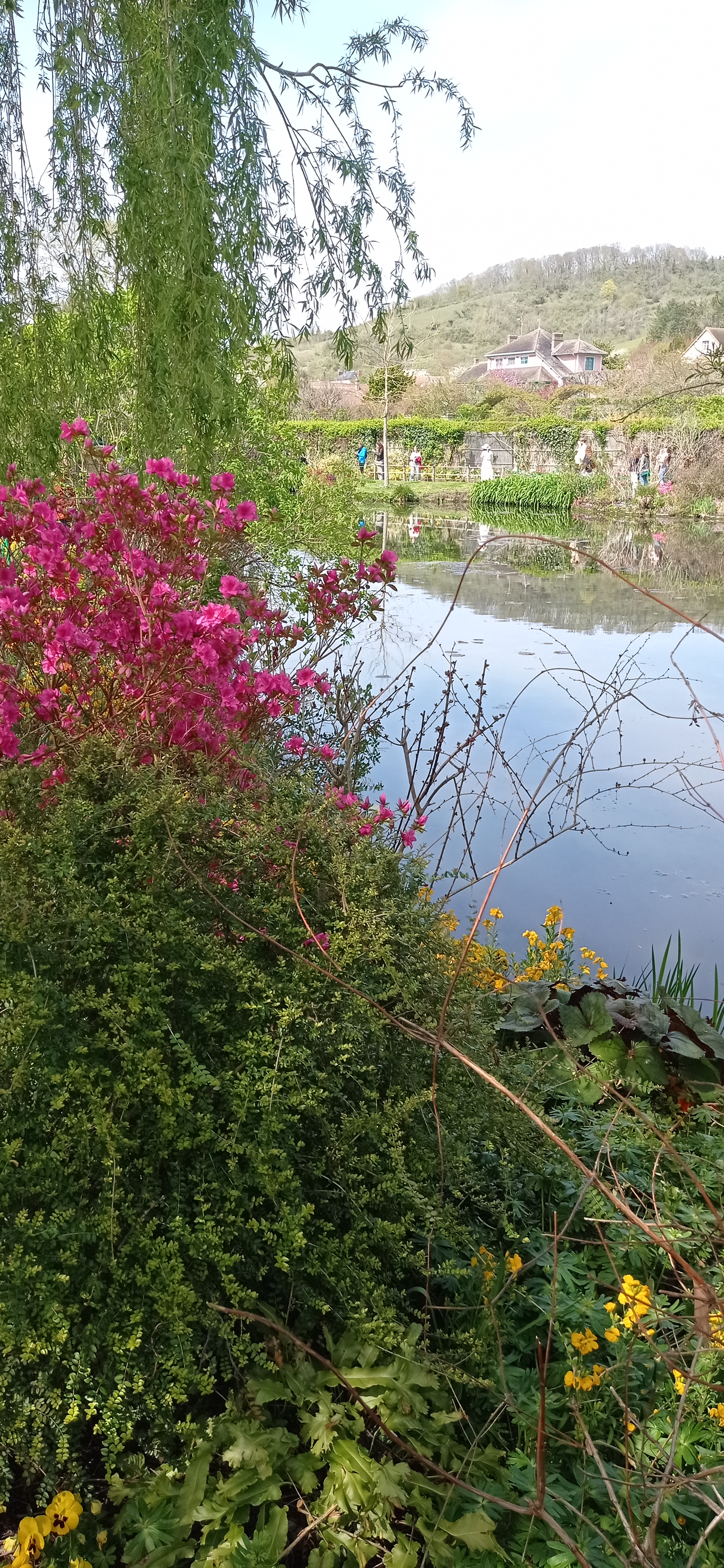 Photo n° 9 de l'avis de Marc.H fait le 16/04/2023 à 21:30