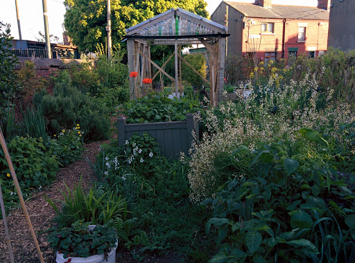 Serenity Community Garden